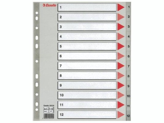 ESSELTE Indices  PP A4 Maxi 1-12 Grey