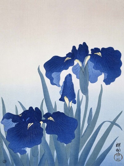 Namly Design Plakat Japansk Blå Iris POSTERFOQZPW