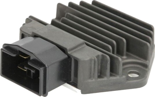 TOURMAX RGU-118 Dynamoregulator