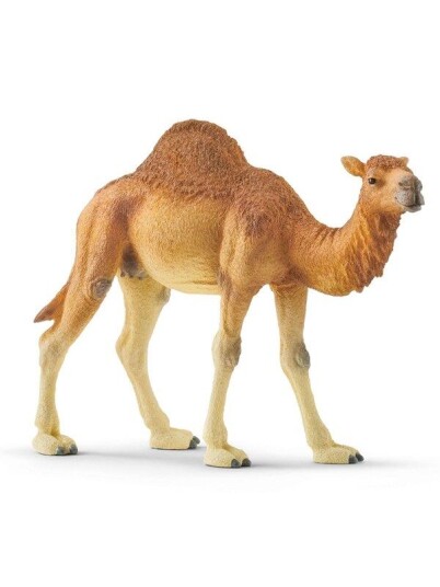 Schleich Dromedar Figur i Plast - Humpet Kamel