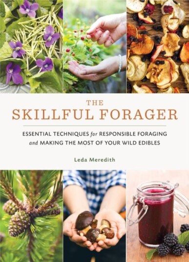Skillful Forager av Leda Meredith
