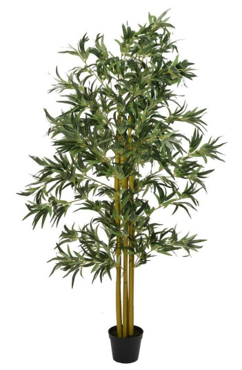 Europalms Bamboo Multi Trunk, 180cm