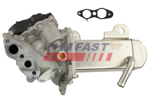 EGR Ventil FAST FT60201
