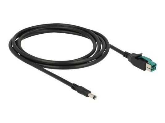 Delock Strømforsynt USB-kabel - USB PlusPower (12 V) til DC-jakk på 2,1/5,5 mm - 2 m