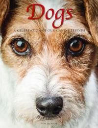 Dogs Av Tom Jackson