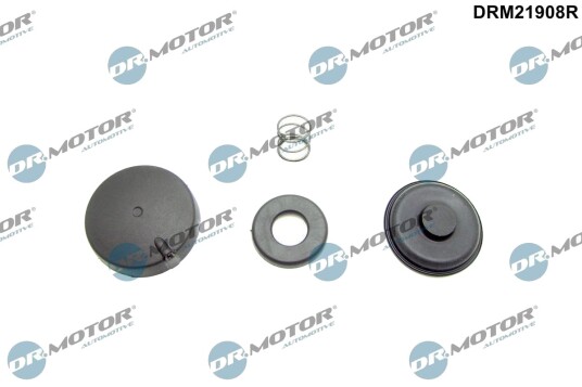 DR.MOTOR AUTOMOTIVE DRM21908R Reparasjonssett, veivhusventilator