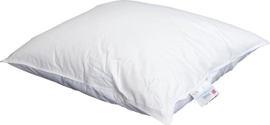 Høie Of Scandinavia Høie Optimal - Hodepute - 60x63cm - allergivennlig Hodepute Høie Of Scandinavia Høie Optimal - Hodepute - 60x63cm - allergivennlig Hodepute