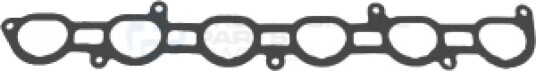 Tetning innsugningsmanifold Professional Parts 21438535