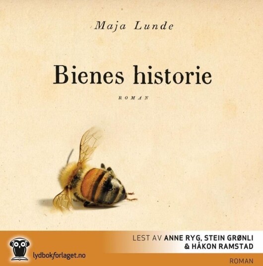 Bienes historie