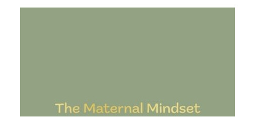 The Maternal Mindset  A journal for all mums going through the postnatal journey