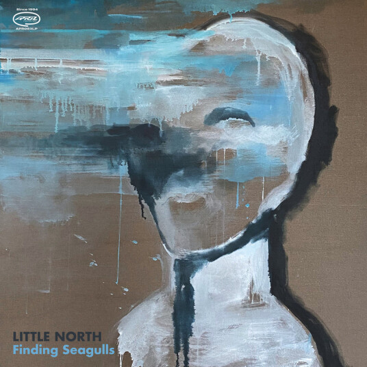 Little North Finding Seagulls CD