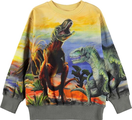 Molo Collegegenser Matis Dino Art Molo 7 år 122 Collegegenser