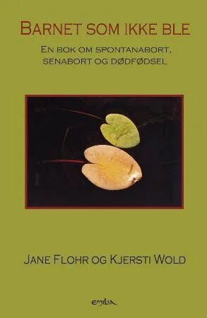 Barnet Som Ikke Ble Av Jane Flohr, Kjersti Wold