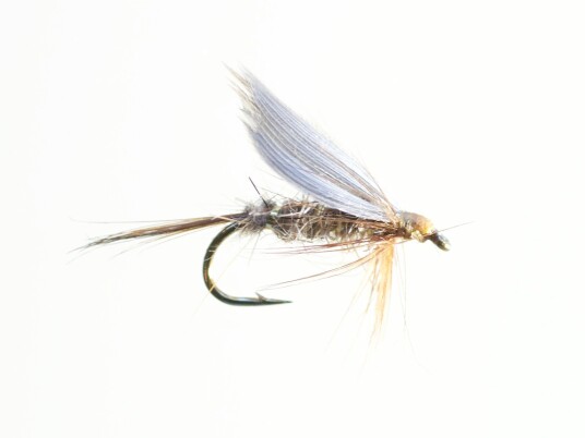 Gold Ribbed Hare"s Ear