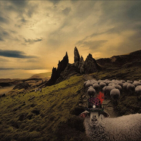 Franck Carducci Sheeple CD