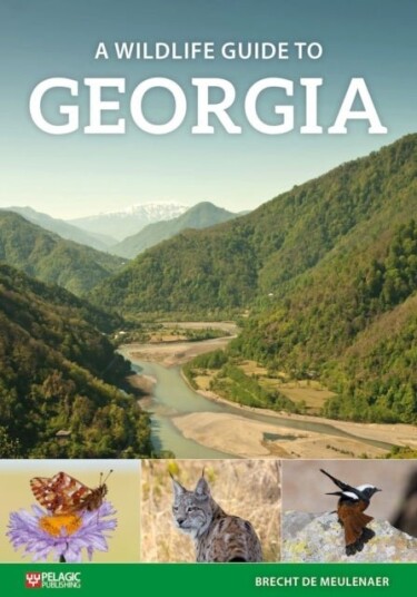 A Wildlife Guide to Georgia A Wildlife Guide to Georgia