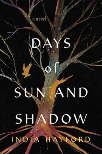 Days of Sun and Shadow Days of Sun and Shadow