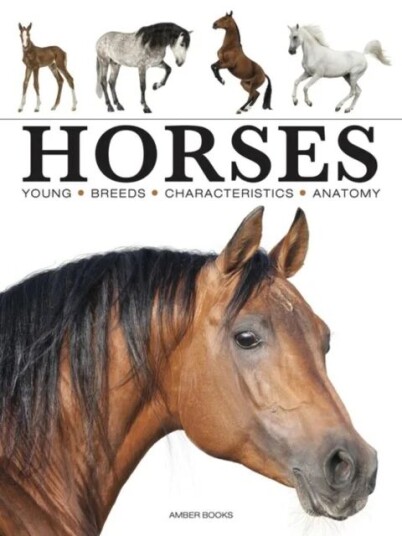 Horses av Paula Hammond