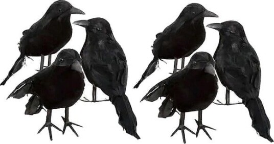 Halloween Kunstige Kråker med Fjær 6 stk 3402