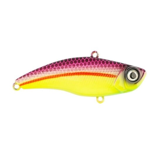 Darts Shake Xpress 6,5 cm Dottyback