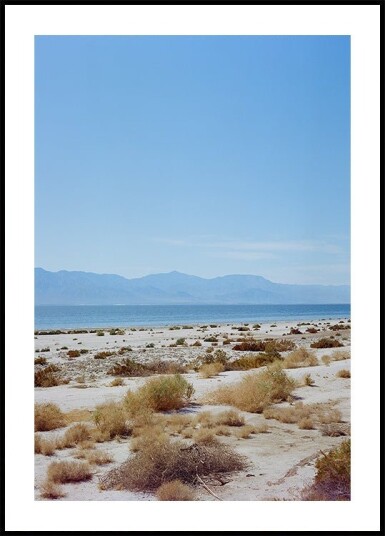Bombay Beach Spring II Plakat Plakat / 100x150cm Bombay Beach Spring II Plakat Plakat / 100x150cm