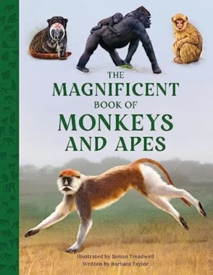 The Magnificent Book Of Monkeys And Apes Av Barbara Taylor