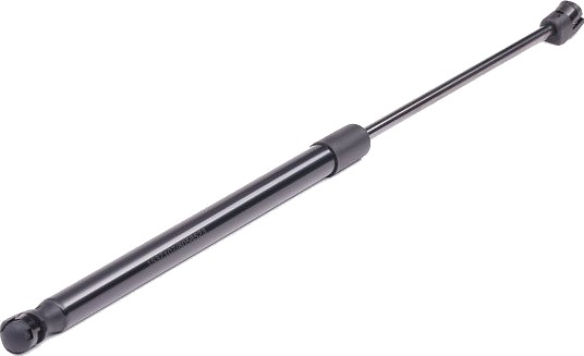 RIDEX 219G0121 Baklukedemper