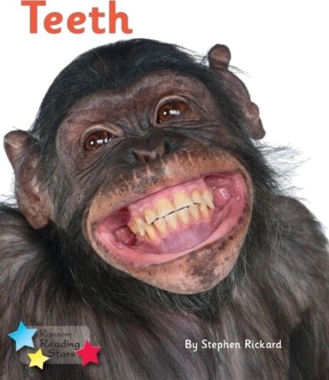 Teeth