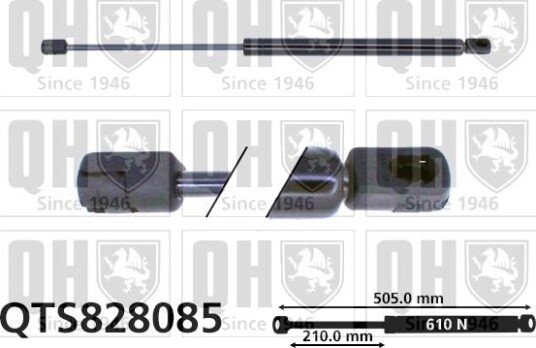 QUINTON HAZELL QTS828085 Baklukedemper