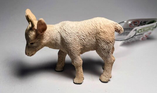 Collecta Goat Kid