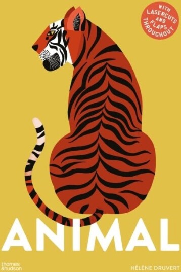 Animal