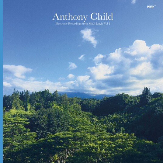 Anthony Child Electronic Recordings From Maui Jungle Vol 2 Usa Vinyl Anthony Child Electronic Recordings From Maui Jungle Vol 2 Usa Vinyl