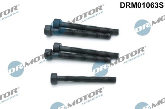 Bolt, innsprøytningsdyse holder Dr.Motor Automotive DRM01063S