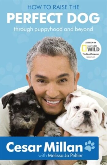 How To Raise The Perfect Dog Av Cesar Millan How To Raise The Perfect Dog Av Cesar Millan