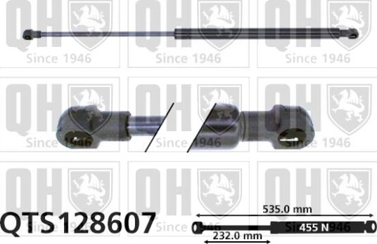 QUINTON HAZELL QTS128607 Baklukedemper