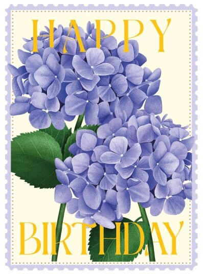Kort Colourburst Hydrangeas
