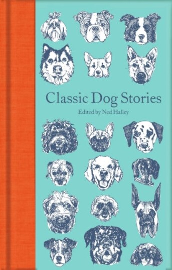 Classic Dog Stories Av Various