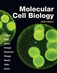 Molecular Cell Biology Av Harvey Lodish, Arnold Berk, Chris Kaiser, Monty Krieger, Anthony Bretscher, Hidde Ploegh, Kelsey Martin, Michael Yaffe, Ange