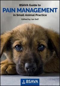 Bsava Guide To Pain Management In Small Animal Practice Av I Self Bsava Guide To Pain Management In Small Animal Practice Av I Self