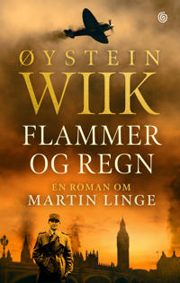 Flammer Og Regn Av Øystein Wiik
