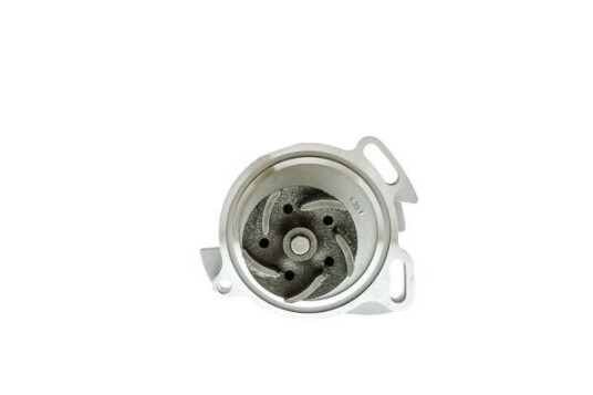 AISIN WE VW60 Vannpumpe AISIN WE VW60 Vannpumpe