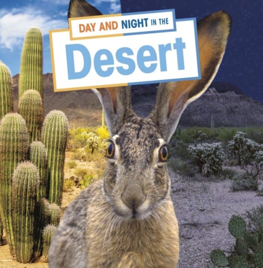 Day And Night In The Desert Av Ellen Labrecque
