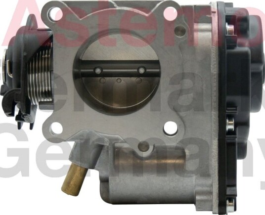 Gasspjeld HITACHI 2509013