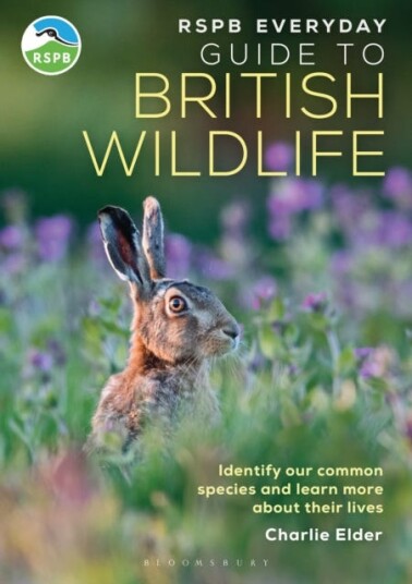 RSPB Everyday Guide to British Wildlife Identify our common species and learn more about their lives RSPB Everyday Guide to British Wildlife Identify our common species and learn more about their lives