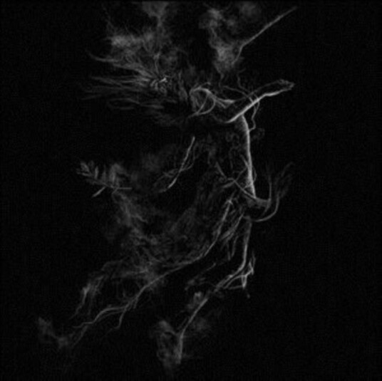 Jarboe  Illusory  LP/Vinyl