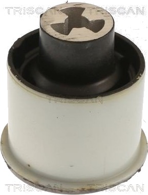 Lagring akselskaft TRISCAN 8500 21811