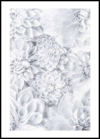 White Calm Flowers Plakat Plakat / 50x70cm