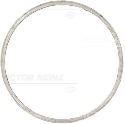 REINZ 71-20611-00 Tetning, eksosmanifold