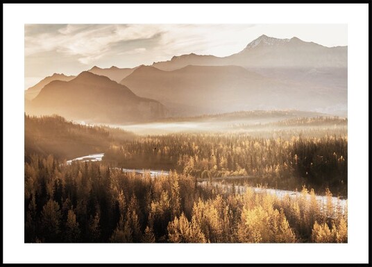 Golden Morning in the Valley Plakat Plakat / 50x70cm