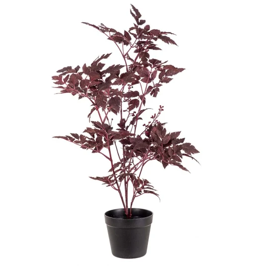 Mr Plant Silverax Potteplante 75 cm Mr Plant Silverax Potteplante 75 cm